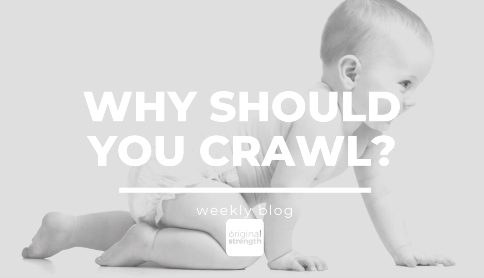 Why should you crawl?