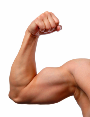 biceps-flex